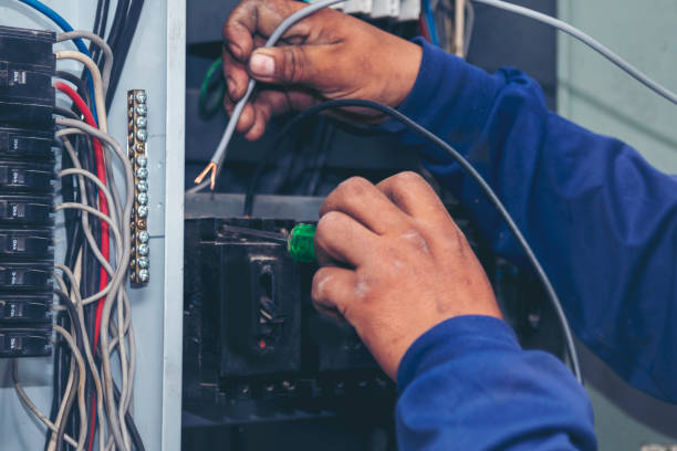 Best Electric Panel Repair  in Wrightstown, WI